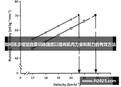 如何逐步增加自重训练强度以提高肌肉力量和耐力的有效方法