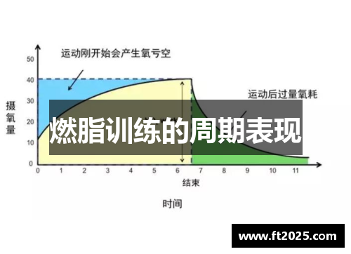 燃脂训练的周期表现